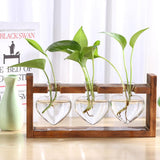 Wooden Frame Glass Vase Heart Shape